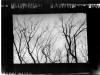 Pinhole Camera Shot